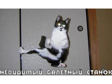 16.11.2010 12:01:16