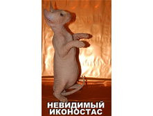 16.11.2010 12:01:20