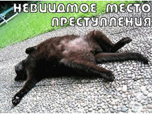 16.11.2010 12:01:24