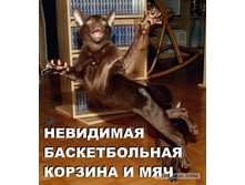 16.11.2010 12:01:26