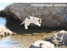 16.11.2010 12:01:27