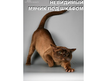16.11.2010 12:01:27