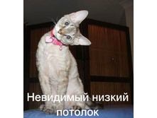 16.11.2010 12:01:31