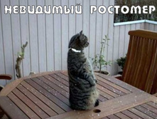 16.11.2010 12:01:32