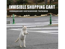 16.11.2010 12:01:40