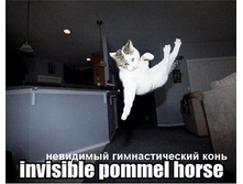 16.11.2010 12:01:44