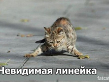 16.11.2010 12:01:50