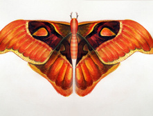 16.11.2010 18:50:35