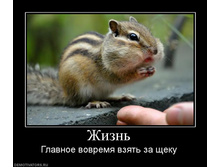 29.11.2010 17:11:59