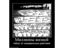 29.11.2010 17:13:18