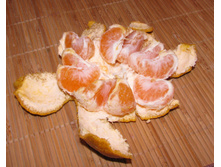 02.12.2010 0:43:07