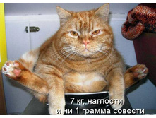 03.12.2010 12:54:07