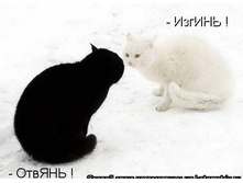 03.12.2010 12:54:12