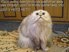 03.12.2010 12:54:16