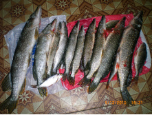 ���� 05.12.2010