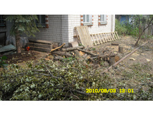 09.12.2010 8:56:04