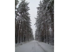 11.12.2010 20:07:28