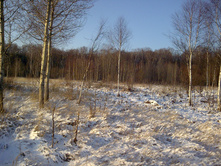 14.12.2010 15:22:46