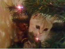 14.12.2010 17:02:52