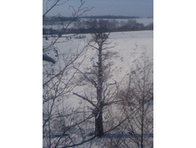 14.12.2010 17:31:03