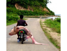 15.12.2010 23:53:18