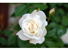 17.12.2010 16:31:47