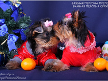 18.12.2010 12:39:09