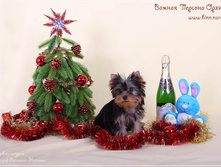 18.12.2010 12:46:30