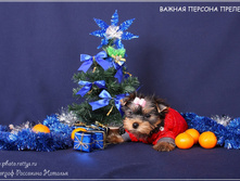 18.12.2010 12:54:29