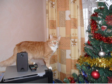 20.12.2010 11:53:53