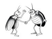 Bugs