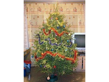 22.12.2010 23:48:42