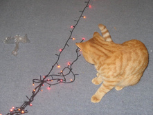 23.12.2010 12:16:45