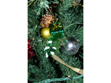 27.12.2010 19:34:43