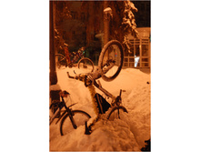 01.01.2011 12:37:33