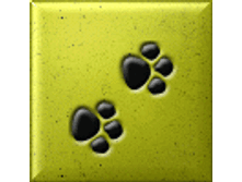 03.01.2011 11:05:11