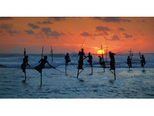 Stilt Fisherman