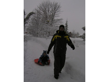 04.01.2011 11:38:37