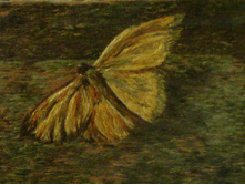 04.01.2011 21:34:11