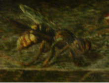04.01.2011 21:34:28