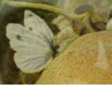04.01.2011 21:34:43