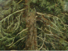 04.01.2011 23:33:42