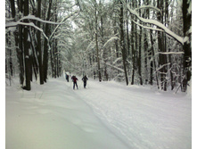 06.01.2011 19:25:59