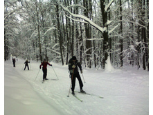06.01.2011 19:26:05