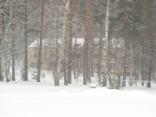 08.01.2011 1:42:06