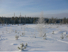 08.01.2011 17:01:29