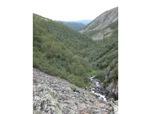 10.01.2011 11:01:56