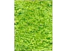 11.01.2011 13:07:29