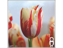 11.01.2011 18:15:56