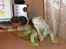 13.01.2011 17:36:44